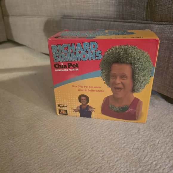 Richard Simmons Lively Green CHIA PET Planter Open Box plants Gift Green - Picture 2 of 4